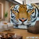 Tigre