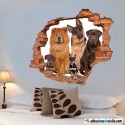 Perros observadores