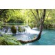 Río en la naturaleza