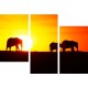 murales partidos - elefantes África