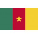 Bandera de Camerún