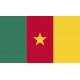 Bandera de Camerun