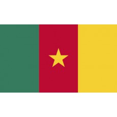 Bandera de Camerun