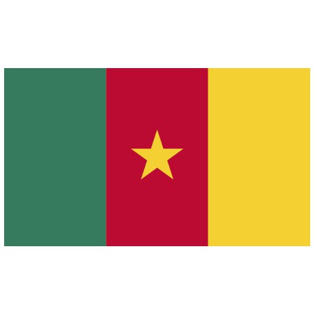 Bandera de Camerun